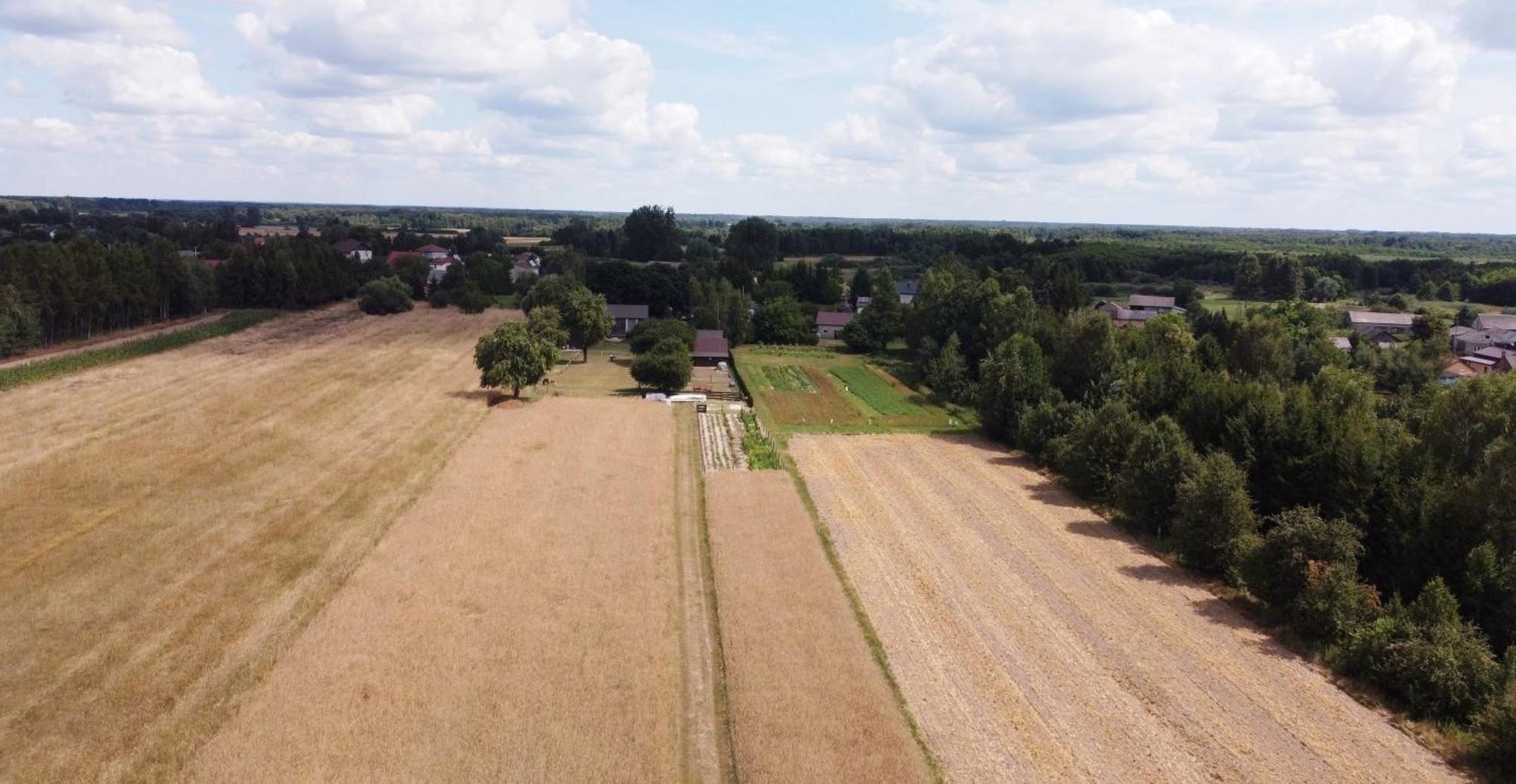 Agroturystyka Kraina Jezior Ludwin Kültér fotó